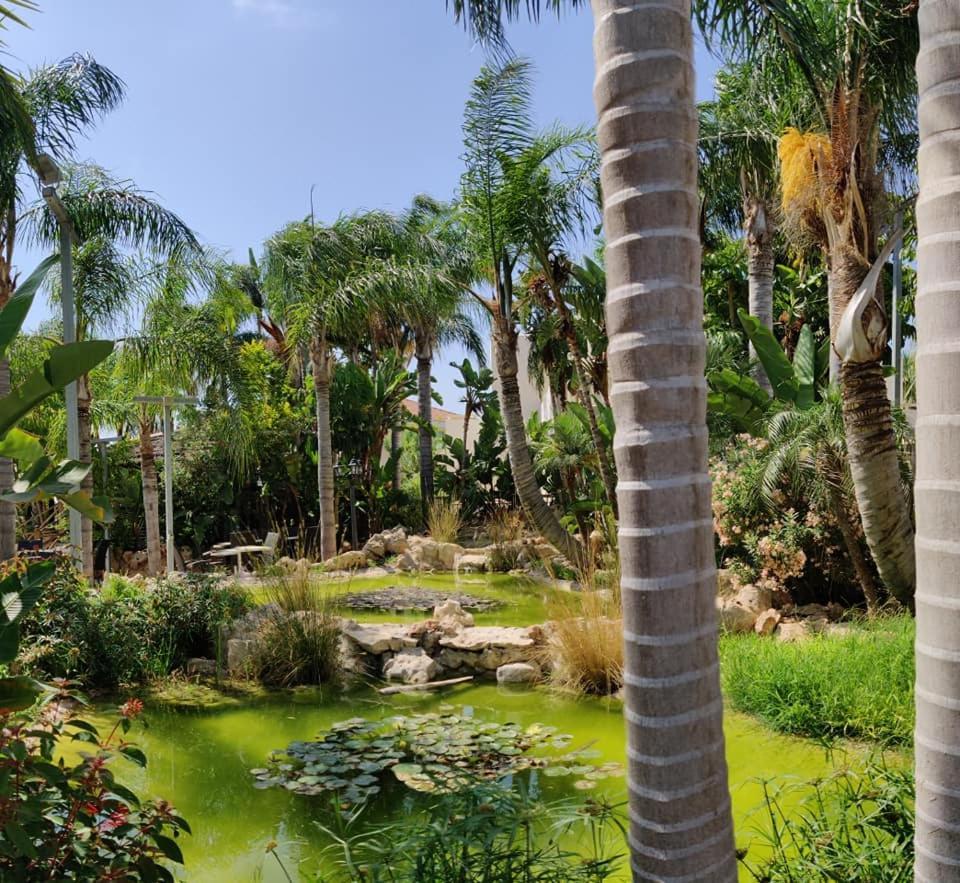Garden Luxury Apartment Ayia Napa Luaran gambar